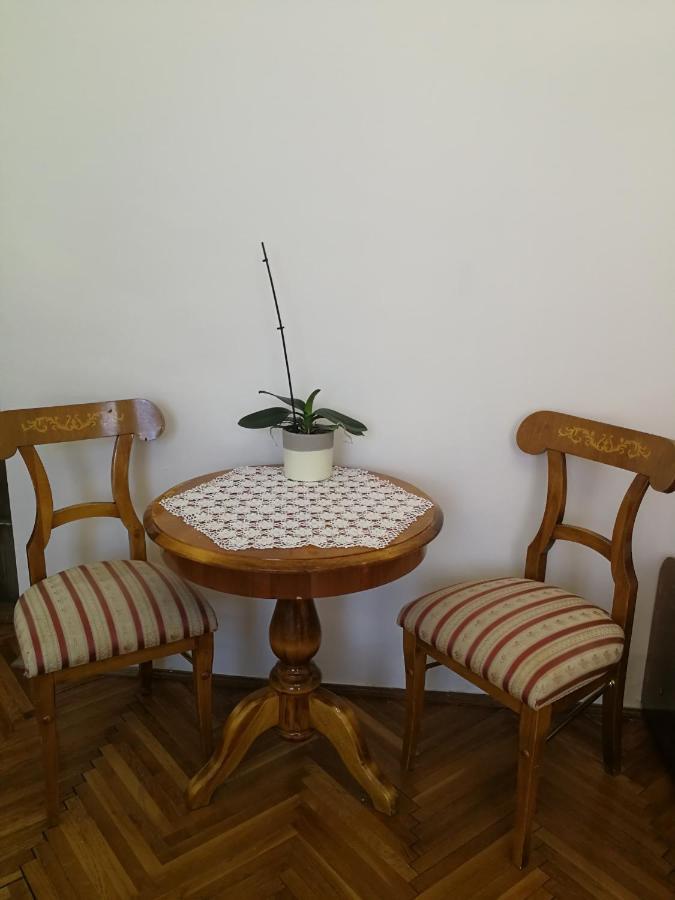 Tulipanvendeghaz